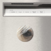 Palomino Horse Eye Magneet (Insitu (Vaatwasser))