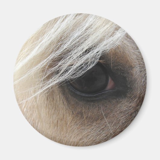 Palomino Horse Eye Magneet (Voorkant)