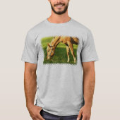 Palomino Horse Grazing Guy's T-Shirt (Voorkant)