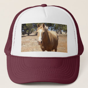 Palomino Horse Greeting,- Trucker Pet