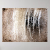 Palomino Horse Grunge Poster (Voorkant)