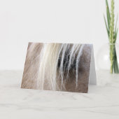 Palomino Horse Kaart (Voorkant)