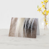 Palomino Horse Kaart (Gele Bloem)