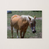 Palomino Horse Legpuzzel (Horizontaal)