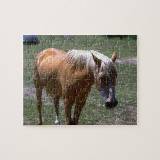 Palomino Horse Legpuzzel (Horizontaal)