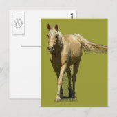 Palomino Horse Postcard Briefkaart (Voorkant / Achterkant)
