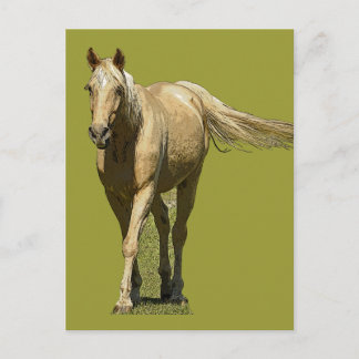 Palomino Horse Postcard Briefkaart