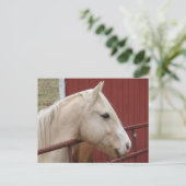 Palomino Horse Red Barn Red Gate Briefkaart (Staand voorkant)