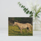 Palomino in Gele Bloemen Briefkaart (Staand voorkant)