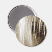 Palomino in Sepia Magneet (Voorkant / Achterkant)