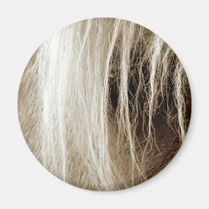 Palomino in Sepia Magneet