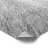 Palomino in zwart-wit poster (Hoek)