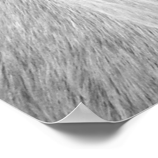 Palomino in zwart-wit poster (Hoek)