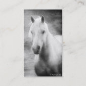 Palomino in zwart-wit visitekaartje (Achterkant)