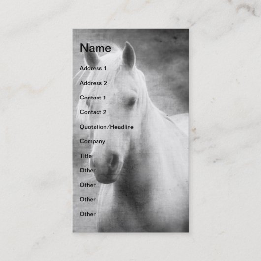 Palomino in zwart-wit visitekaartje (Voorkant)