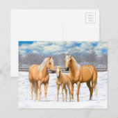 Palomino kwartspaarden bij sneeuw briefkaart (Voorkant / Achterkant)