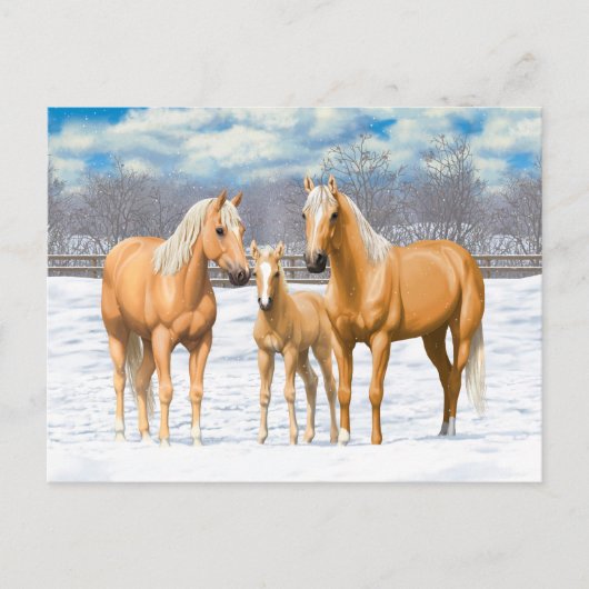 Palomino kwartspaarden bij sneeuw briefkaart (Voorkant)