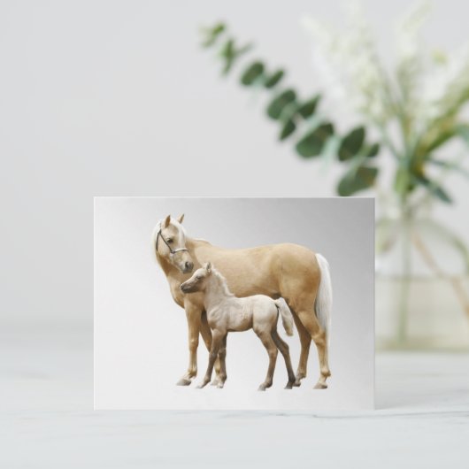Palomino Mare en Foal Briefkaart (Staand voorkant)