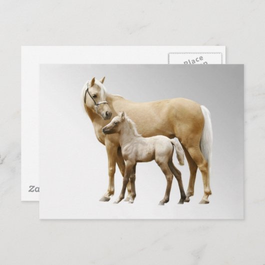 Palomino Mare en Foal Briefkaart (Voorkant / Achterkant)