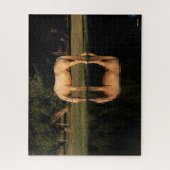 Palomino met reflectie op het meer legpuzzel (Verticaal)