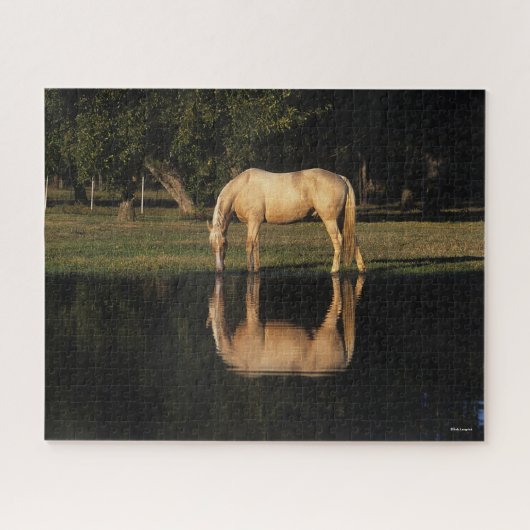 Palomino met reflectie op het meer legpuzzel (Horizontaal)