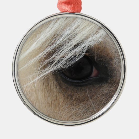 Palomino Metalen Ornament (Voorkant)