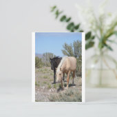 Palomino Mustang Briefkaart (Staand voorkant)