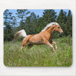 Palomino paard dat door een wei loopt muismat
