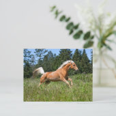 Palomino-paard dat door een weide loopt briefkaart (Staand voorkant)