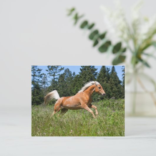 Palomino-paard dat door een weide loopt briefkaart (Staand voorkant)