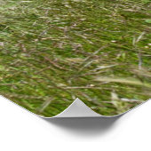 Palomino-paard dat door een weide loopt poster (Hoek)