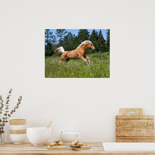 Palomino-paard dat door een weide loopt poster (Keuken)