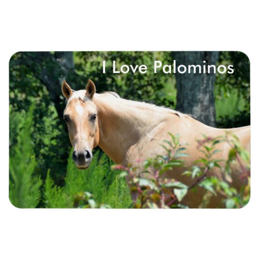 Palomino Paard Flexibele magneet (Horizontaal)