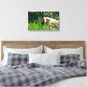 Palomino Paard Foto Canvasprint Canvas Afdruk (Insitu (Slaapkamer))