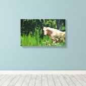 Palomino Paard Foto Canvasprint Canvas Afdruk (Insitu (Houten vloer))