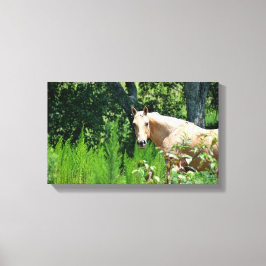 Palomino Paard Foto Canvasprint Canvas Afdruk (Voorkant)
