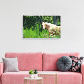 Palomino Paard Foto Canvasprint Canvas Afdruk (Insitu (Woonkamer))