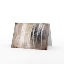 Palomino Paard Grunge Verjaardag