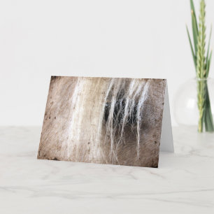 Palomino Paard Grunge Verjaardag Kaart