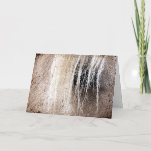 Palomino Paard Grunge Verjaardag Kaart (Voorkant)