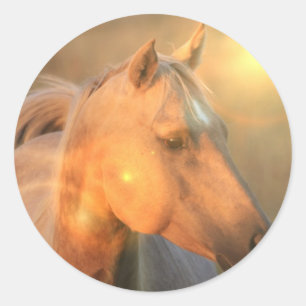 Palomino-paard in lichtsterker ronde sticker