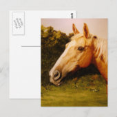 Palomino-paard met witte kleur briefkaart (Voorkant / Achterkant)