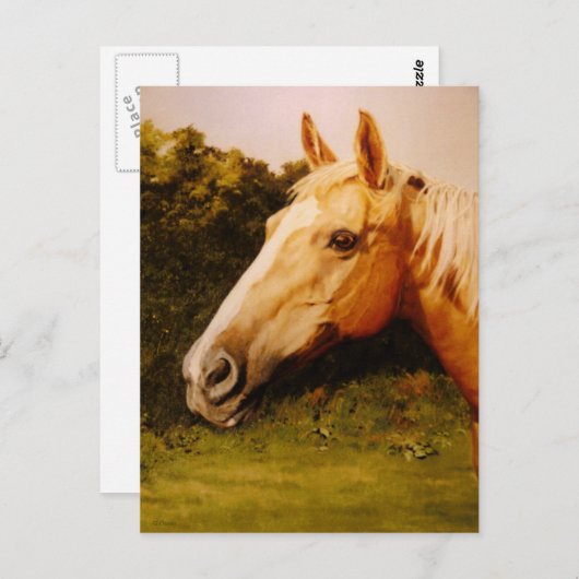 Palomino-paard met witte kleur briefkaart (Voorkant / Achterkant)