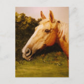 Palomino-paard met witte kleur briefkaart (Voorkant)