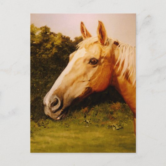 Palomino-paard met witte kleur briefkaart (Voorkant)