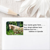 Palomino Paard retour adreslabels Etiket (Insitu)