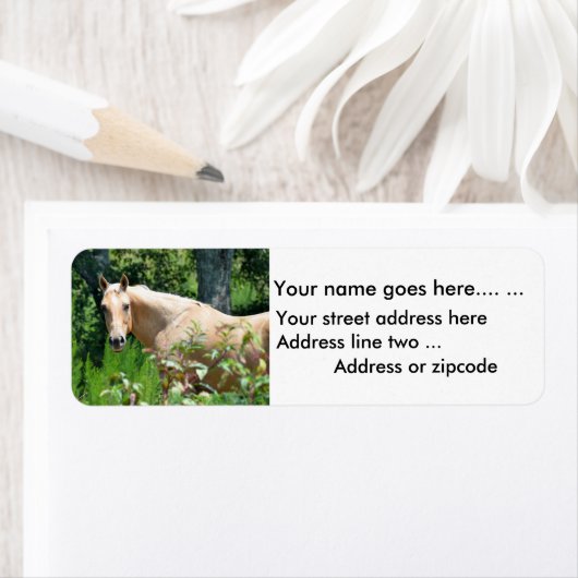 Palomino Paard retour adreslabels Etiket (Insitu)