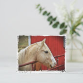 Palomino Paard Rode Schuur Briefkaart (Staand voorkant)