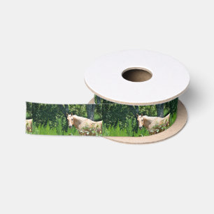 Palomino Paard Satijnen Lint Spoel