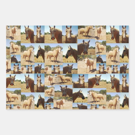 Palomino Paarden Collarge, geschenk Wrap Sheets, Inpakpapier Vel (Voorkant 3)